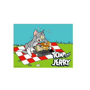 gƃWF[ LN^[XebJ[@gWF[@sNjbN WB1121 X[Evlbg