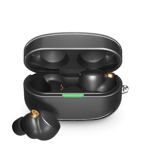 SONY TWS WF-1000XM4p I[fBIv[[P[X Rۃ\tgP[X [NA] PG-XM4TP01CL PGA PG-XM4TP01CL PGA