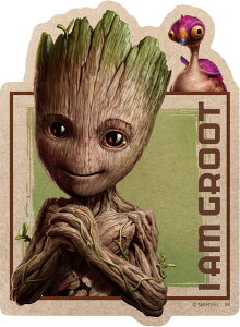 MARVEL }[x ACEAEO[g2 NtgXebJ[B IS-992 CbN