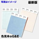 【市場の日p2倍】色番号 14-4112TCX 色名 Skyway パントン PANTONE パントーン コットン スワッチカード 綿 布 カラーチップ バラ売り あす楽 最強配送 最新版 ぱんとね