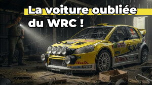 Otto Mobile otm495 Ibgr 1/18 ~jJ[ W v|[Vf 2008N[EeJ XYL SUZUKI - SX4 WRC (night version) No.12 RALLY MONTECARLO 2008 GUNNAR ANDERSSON - JONAS ANDERSSON