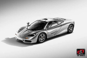 LCD Models 1/18 ~jJ[ _CLXgf 1993Nf }N[ McLAREN - F-1 XP5 1993 Vo[^bN
