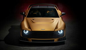 Spark �X�p�[�N 1/18 �~�j�J�[ ���W�� �v���|�[�V�������f�� 2024�N���f�� �A�X�g���}�[�`�� ASTON MARTIN VALIANT 2024