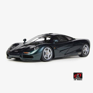 LCD Models 1/18 ~jJ[ _CLXgf 1993Nf }N[ McLAREN - F-1 XP5 1993 O[^bN