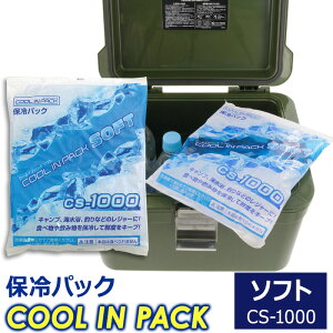 N[CpbN \tg 1000g CS-1000 ۗpbN ۗ {@JEJ