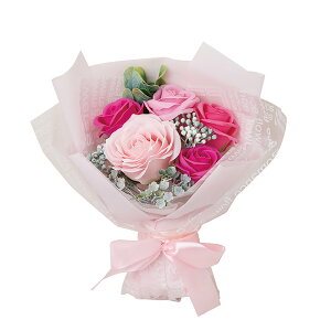 \[vt[ Mtg GKg~ju[P ͂Ȃ ԑ ΂ u[P 킢 蕨 j  d a j ̓ ̓ zCgf[ oYj w  AE 