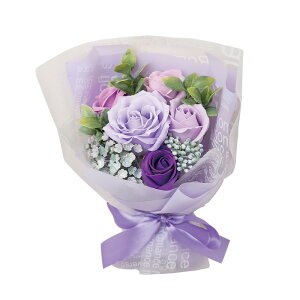 \[vt[ Mtg GKg~ju[P ͂Ȃ ԑ ΂ u[P 킢 蕨 j  d a j ̓ ̓ zCgf[ oYj w  AE 