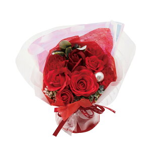 \[vt[ Mtg teB[ ~ju[P ͂Ȃ ԑ ΂ u[P 蕨 j  d a j ̓ ̓ zCgf[ oYj w  AE ʉ 30 40