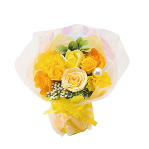 \[vt[ Mtg teB[ ~ju[P ͂Ȃ ԑ ΂ u[P 蕨 j  d a j ̓ ̓ zCgf[ oYj w  AE ʉ 30 40