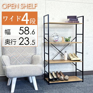 I[vbN ǖʃVFt Ch 4i ubN ؖ fBXvCbN VFt I A4 58.6 s23.5 112 ILCy[J[Eszyz