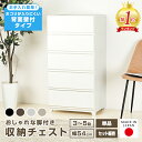 チェスト 壁付収納チェスト 3段 4段 5段 ワイド 幅54cm 脚付き 中が透けない ほこりが入りにくい ホコリが入りにくい プラスチック 引き出し タンス 箪笥 収納ケース 衣装ケース 収納ボックス 衣類収納 リビング収納 ランドリー収納 日本製 国産 押入れ収納 クローゼット JEJ