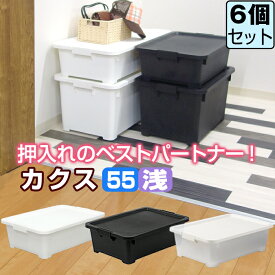 衣装ケース 限定カラー カクス 55浅 コロ付 【同色6個セット】【送料無料】ベッド下収納 押し入れ収納 浅型 収納ボックス JEJアステージ 隙間 すき間 スキマ