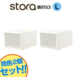 【セット特価】JEJ ストラ クローゼット用 L 奥行53cm 高さ30cm ホワイト≪2個セット≫【送料無料】