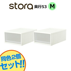 【セット特価】JEJ ストラ クローゼット用 M 奥行53cm 高さ22cm ホワイト≪2個セット≫【送料無料】