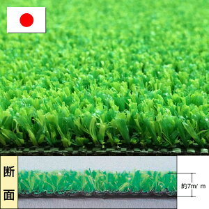 �y���^�i�x�H�ƒ��́z�l�H�� MT-70 �i�Z�W2�F�p�C���A�ł̒�����7mm�j�@182cm��x20m���y���[���^�C�v�l�H�Łz