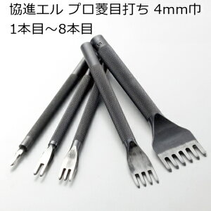 iG vHڑł 4mm 1{ځ`8{ S6 DH U[Ntg