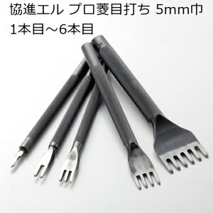 iG vHڑł 5mm 1{ځ`6{ S5 DH U[Ntg