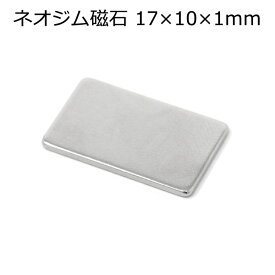 ネオジム磁石 17×10×1mm 1組（2枚）強力磁石 隠しマグネット レザークラフト 隠し縫い