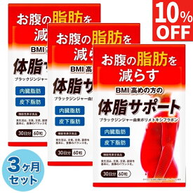 【10%OFFクーポン】 3ヶ月(90日分) ダイエットサプリ ダイエット サプリ お腹の脂肪を減らす 体脂サポート 内臓脂肪 皮下脂肪 ブラックジンジャー カルニチン HMB BCAA配合 90日分180粒 送料無料 機能性表示食品 ポイント消化