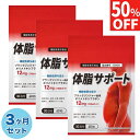 【50%OFF】 3ヶ月(90日分) ダイエットサプリ ダイエット サプリ お腹の脂肪を減らす 体脂サポート 内臓脂肪 皮下脂肪 …