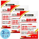 3ヶ月セット ダイエットサプリ 肥満気味な方の体脂肪 お腹の脂肪 内臓脂肪 ウエスト周囲径 体重の減少 サポート 高め…