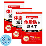 3ヶ月セット(90日分) 体脂肪を減らす ダイエットサプリ 体脂ガードα ダイエット エラグ酸 3mg カルニチ…
