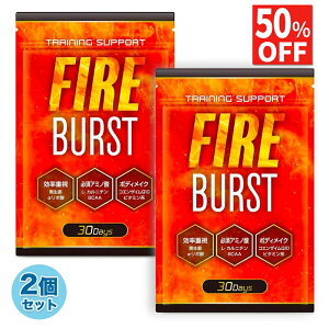y50%OFFz 2܃Zbg _CGbg Tv _CGbgTv L-Jj` ]|_ BCAAz JvTCV 30×2  FIREBURST