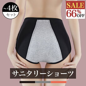 【66%OFF SALE実施中】＼ショーツ 1枚295円 ／ サニタリーショーツ 3枚 4枚セットレディースショーツ サニタリー 無縫製 伸縮性 整理 漏れにくい クロッチ防水 シンプル パンツ 無地 下着 通気性 Ms.BONITA ミズボニータ