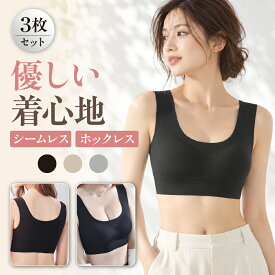 【3枚セット】 ナイトブラ ブラジャー ノンワイヤーブラ シームレスブラ レディース ブラ ナイトブラジャー シームレスナイトブラ ノンワイヤー 脇高 昼夜兼用 24時間 小胸 谷間 横流れ防止 ホールド 締め付けない ストレスフリー スポーツブラ 3枚セット 送料無料 Ms.BONITA