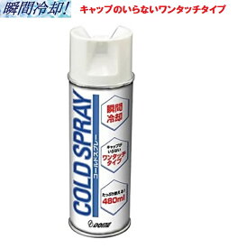 Dメディカル ドーム コールドスプレー 480ml