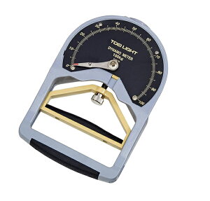 TOEI LIGHT(g[GCCg) ͌vDX2 T1811