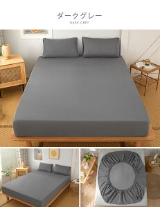 �y2���g�Z�b�g�z�y���\�t�g�E�e��UP�z�{�b�N�X�V�[�c �L�т�V�[�c �L�k�� ����\ �V���O���`�N�C�[�����p ������ �̂т̂� �҂����� �t�B�b�g�V�[�c �R�ۖh�L �ʋC�� �}�b�g���X�J�o�[ 