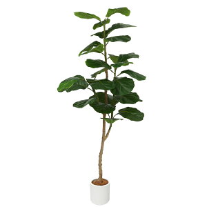 _N[|p10%OFF^tFCNO[ G} Ex[^ pL V̖ KW} 90~150cm ϗtA tFCN lHϗtA t ȒP sv QSzȂ 