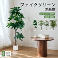 リビングのインテリアに取り入れるならこれ！大型から卓上サイズまでリアルでおしゃれなフェイクグリーンは？