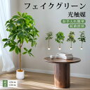 ＼★クーポン利用で10%OFF★／フェイクグリーン 光触媒 ウンベラータ パキラ ヤシの木 ガジュマル オリ一ブの木 高さ9…