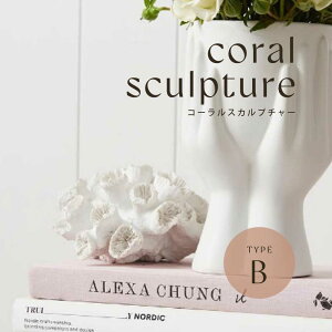 y10OFFzTS IuWF X R[ W CeA G  zCg C ][g Cݕ R[X^ i` _   fBXvC  TCh{[h  20cm 