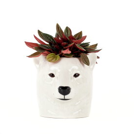 【最大20％OFF★母の日セール】PolarBearPencilPot しろくまのペン立て Quail Ceramics クエイル 雑貨 グッズ ペン立て 観葉植物 ポット 置物 オフィス シロクマ おしゃれ かわいい おもしろ アニマル 海外 北欧 陶器 プレゼント ギフト 誕生日 記念日