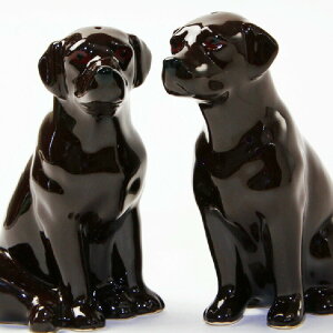 yLINE700~ItzLabrador `R[g uh[̃\gybp[Zbg CMX Quail Ceramics  u IuWF CeA  D `R Ck RVE Ӟ 