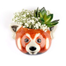 【LINE700円オフ】【在庫限り】新商品!! RedPandaWallVase レッサーパンダ 壁掛け イギリス Quail Ceramics アニマルヘッド アニマル雑貨 動物雑貨 動物 置物 オブジェ インテリア 陶器 花瓶 アライグマ パンダ ギフト プレゼント 誕生日 引っ越し祝い 記念日