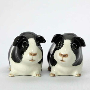 yLINE700~ItzGuinea pig black and white S&P \gybp[Zbg RVE CMX Quail Ceramics u IuWF CeA k _  [bp yA bg mg[ 