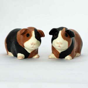 yȂȂ莟Izy20OFFzGuinea pig multi S&P \gybp[Zbg RVE CMX Quail Ceramics  u IuWF CeA k _  yA ybg bg }
