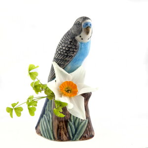 Budgie ԓ u[ CMX Quail Ceramics  u IuWF CeA   g Ƃ  D 쒹 ԕr kG
