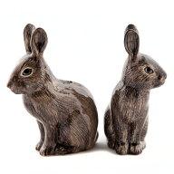 【20％OFF・P10倍】【在庫限り】 Quail Ceramics クエールセラミックス 英国ブランド 穴うさぎのソルト＆…
