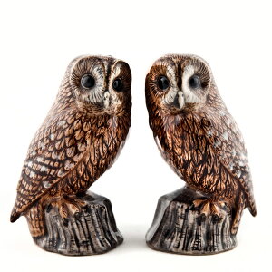 yȂȂ莟IztNẼ\gybp[Zbg CMX Quail Ceramics  u IuWF CeA k _  [bpsi D  tNE ӂ낤 
