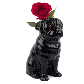 犬の花瓶 Pug Flower Vase L イギリス Quail Ceramics パグ ペット 愛犬 動物 置物 オブジェ インテリア 北欧 モダン 陶器 犬好きイ 黒 黒パグ ワンちゃん