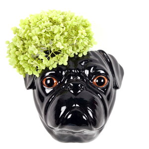 yhV̓MtgzPug Wall Vase Black CMX Quail Ceramics  u IuWF CeA  Aj}wbh  ԕr pO  ybg Ǌ|ԕr  񂿂 pO kG _ C