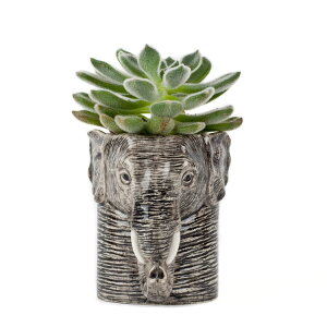 yȂȂ莟IzElephantPencilPot ]Ẽy Quail Ceramics NGC G ObY y ϗtA |bg u ItBX    킢  CO k  v[