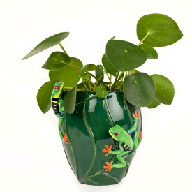 【楽天スーパーSALE限定割引】Tree Frog Flower Vase アマガエルの花瓶 カエル アマガエル 花瓶 一輪挿し ドライフラワー 観葉植物 ポット イギリス 動物 置物 オブジェ インテリア 磁器 珍しい Quail Ceramics クエイルセラミックス