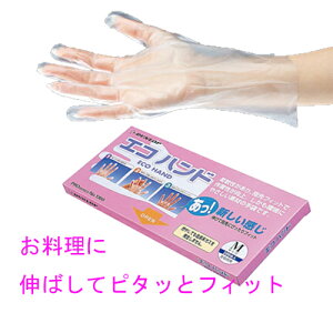 |ItB@GRnh܁@100y_bṽ|ItB܁z