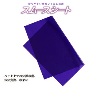 X[XV[g@LTCYpy_bv̉pV[gzi4672j